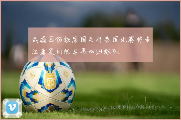 武磊因伤缺席国足对泰国比赛将专注康复训练后再回归球队